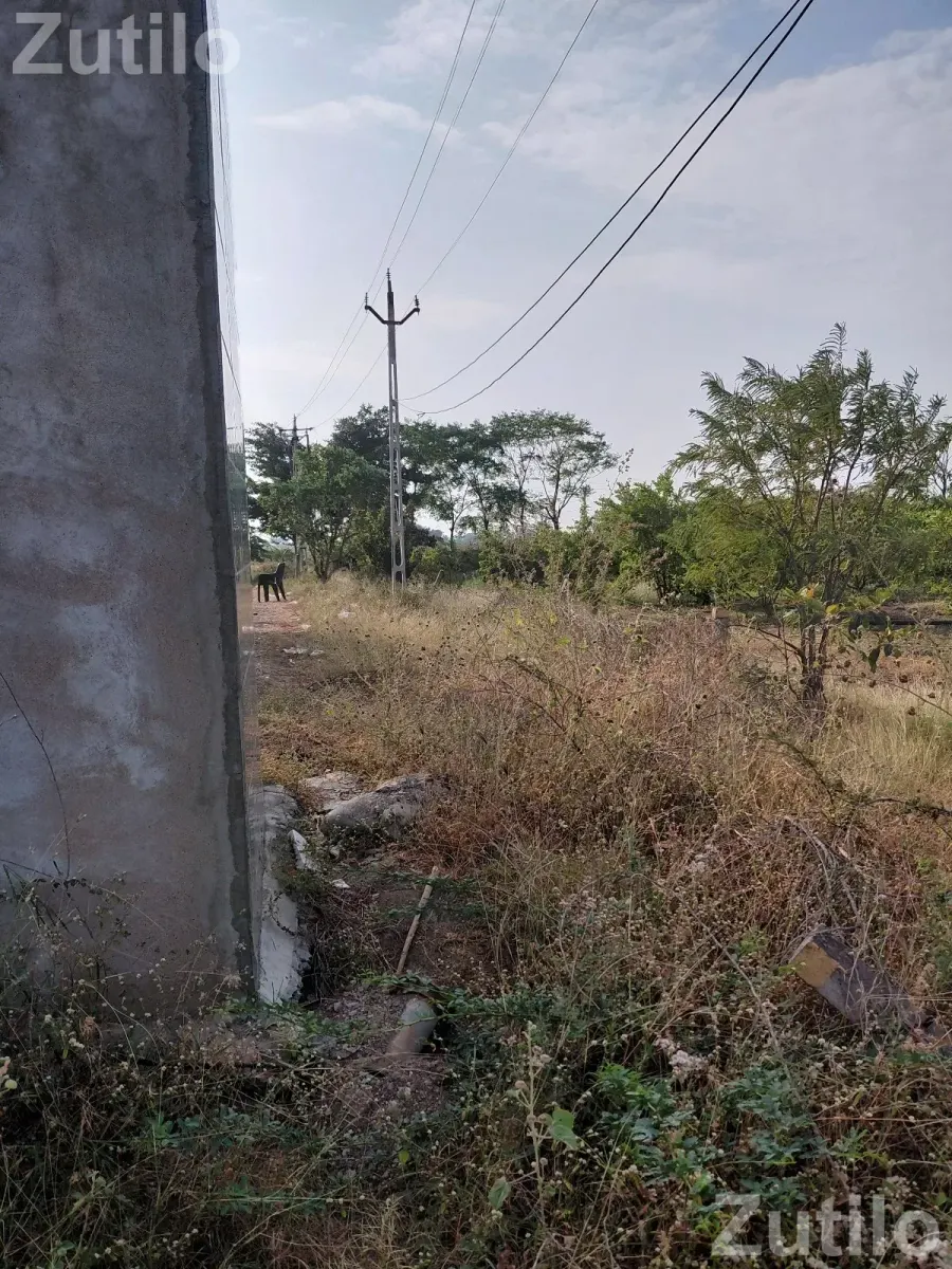 9 vigha jamin vechani se - Land & Plots - Gadhada - Image 3