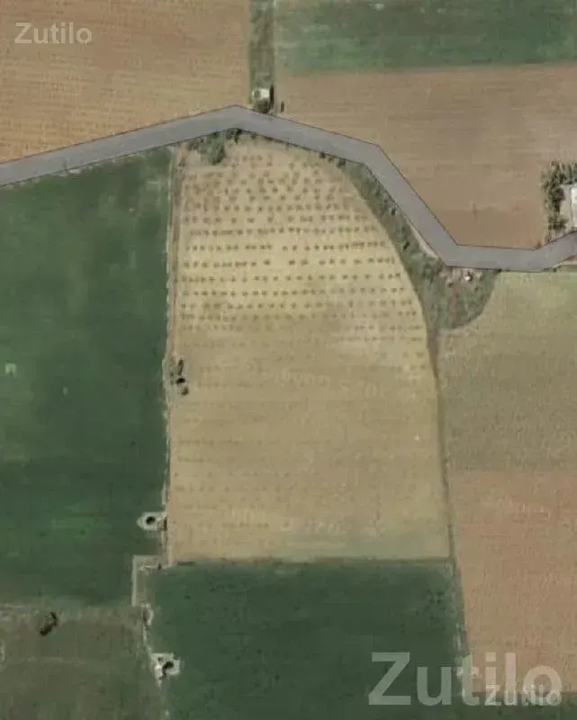 Fertile Agricultural Plot for Sale, Chhaya - Land & Plots - Chhaya - Image 2