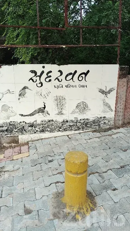 Green Surroundings Land Plot in Dhoraji - જમીન અને પ્લોટ - ધોરાજી - Image 1