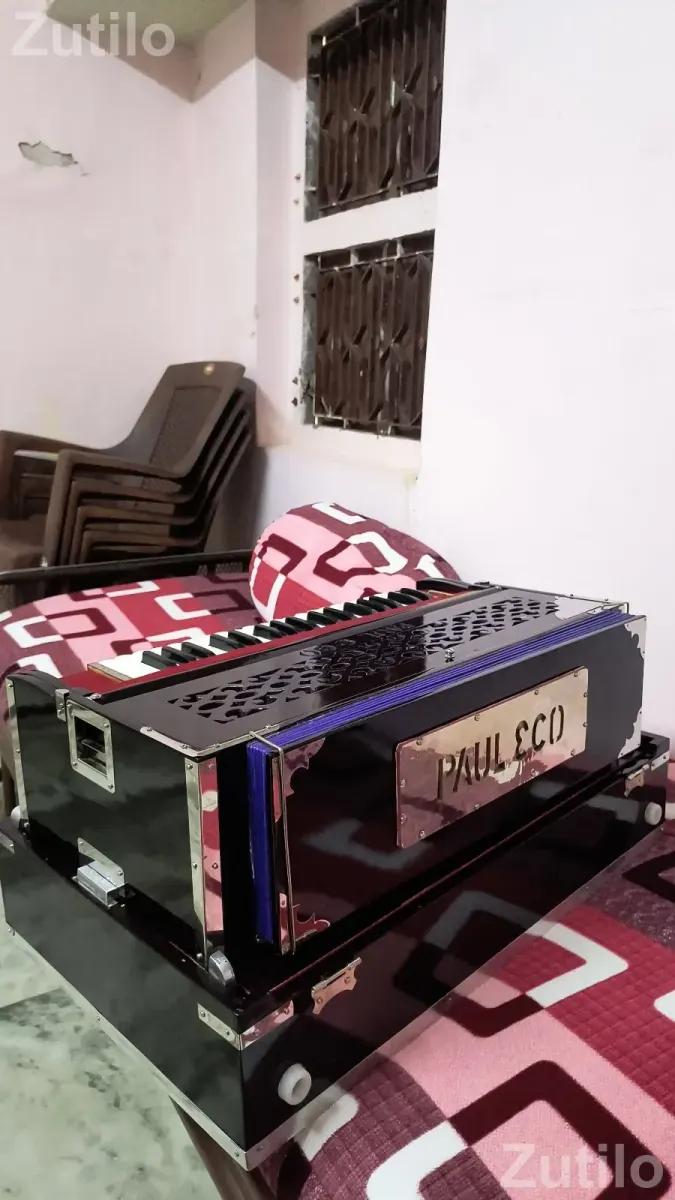 PAUL& ECO - Musical Instruments - Rajkot City - Image 3