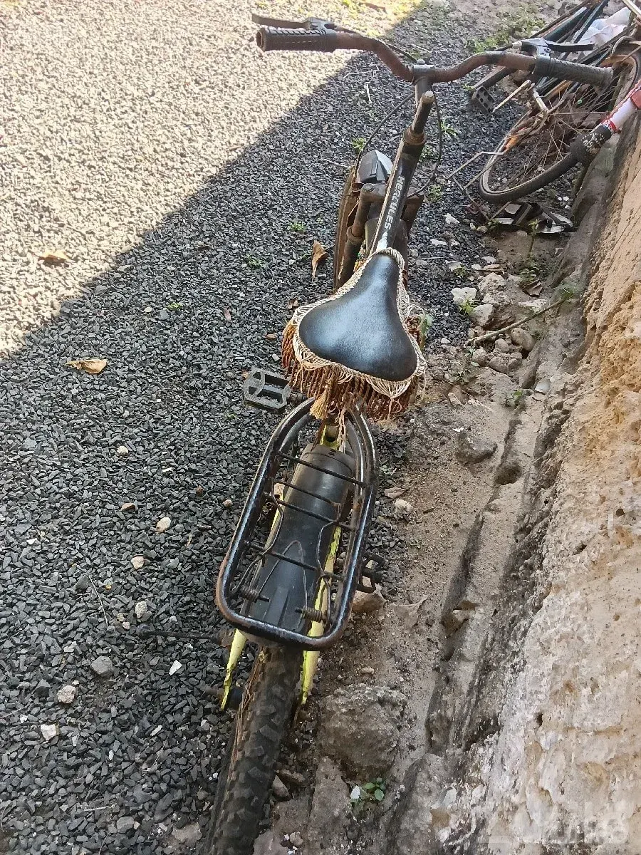 Used Hercules Bicycle for Sale - સાયકલ - માંગ્રોળ - Image 2