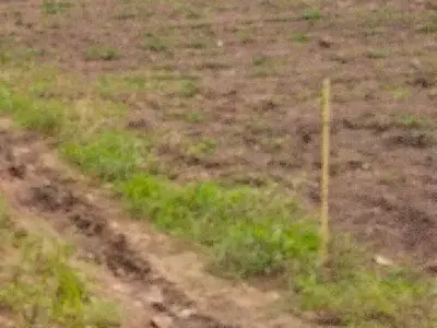 Talala Fertile Agriculture Land Plot Talala Fertile Agriculture Land Plot