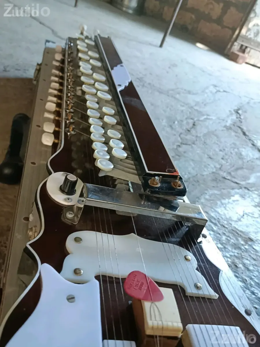 29 Key Banjo with Monitor and Case - Musical Instruments - Bhavnagar City - Image 4