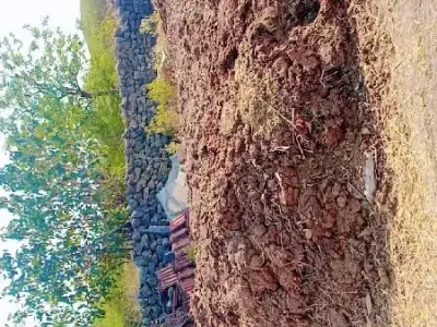 Organic Farm Manure for Sale Organic Farm Manure for Sale