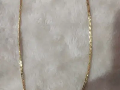 Gold Tone Brass Neck Chain Gold Tone Brass Neck Chain