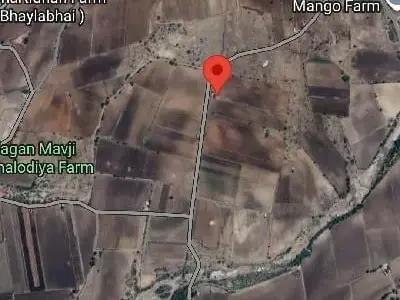 Verad 25 Bigha Agricultural Land