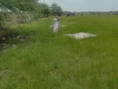 Fertile Green Agricultural Land Plot