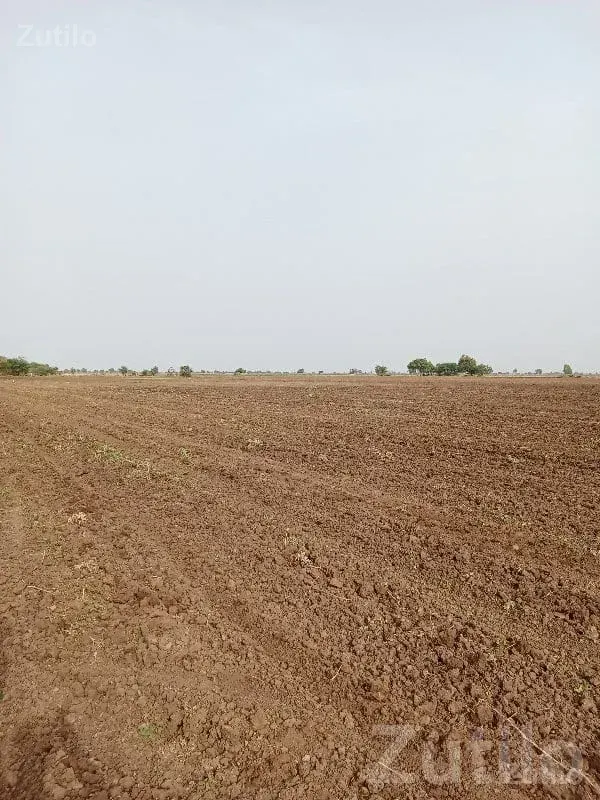 Savarkundla Agricultural Plot for Sale - Land & Plots - Savarkundla - Image 3