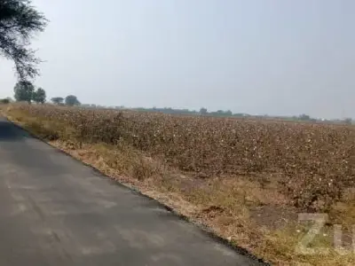 Road Touch Agricultural Land Lathi Road Touch Agricultural Land Lathi