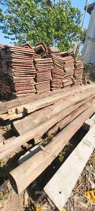 Used Bamboo Poles for Sale - Miscellaneous - Visavadar - Image 2