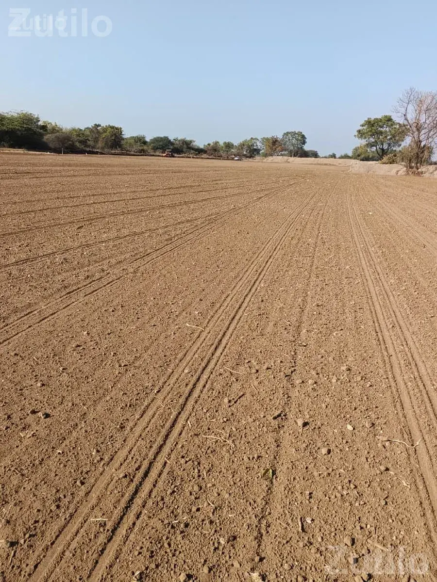 70 Vigha Agricultural Land for Sale - Land & Plots - Khambhalia - Image 2