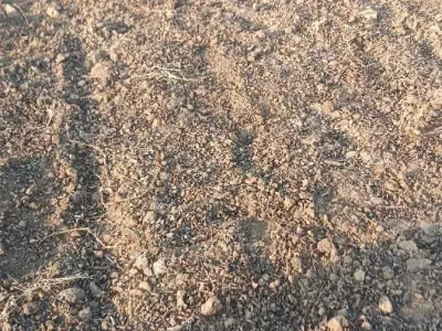 જમીન વેચવાની છે વીઘા 120 જમીન વેચવાની છે વીઘા 120