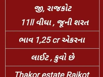 11 Bigha Land Plot on Dhamar Road Rajkot