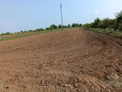 ૩૧ ગુનથા