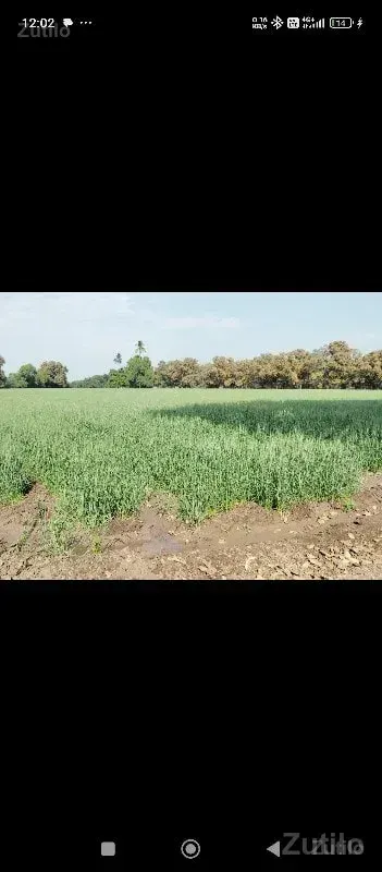 ઝાંઝરડા ચોકડી થી દસ કિમી ને ખુણે - Land & Plots - Godhra - Image 2