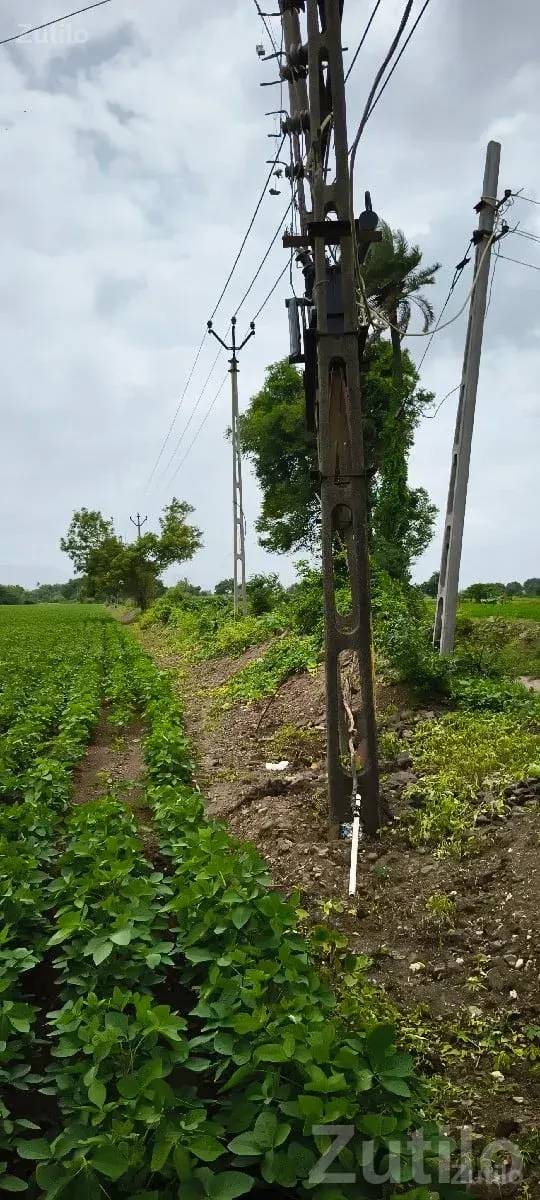 25 Vigha Agricultural Land, Bhanvad - જમીન અને પ્લોટ - ભાણવડ - Image 2
