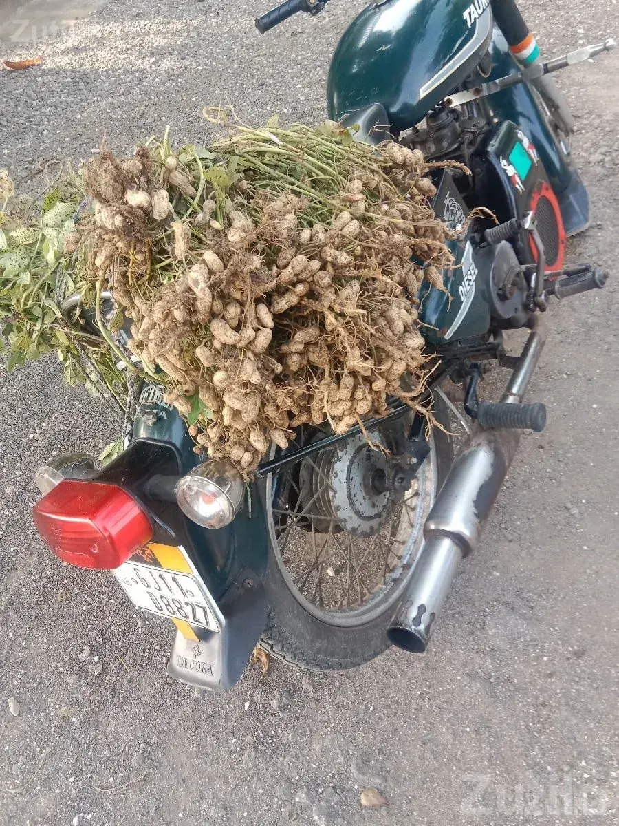 1998 Lurus Vintage Motorcycle Green - બાઇક્સ - છાયા - Image 2