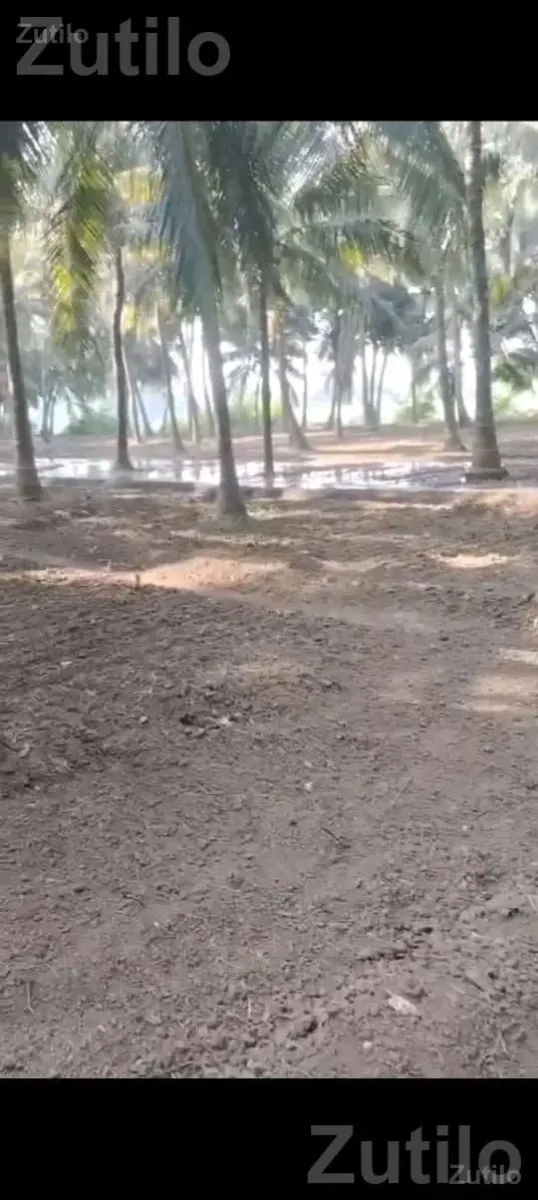 kheti kam mate lebour - Labour / Helper - Ahmedabad City - Image 3