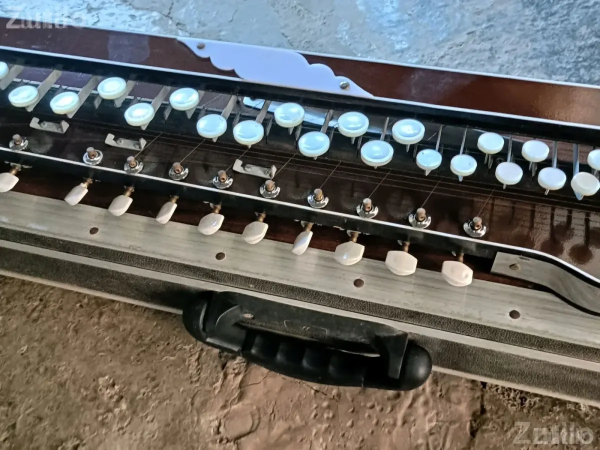 29 Key Banjo with Monitor and Case - Musical Instruments - Bhavnagar City - Image 5