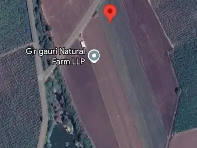 5 Vigha Agricultural Land with Well Share 5 Vigha Agricultural Land with Well Share