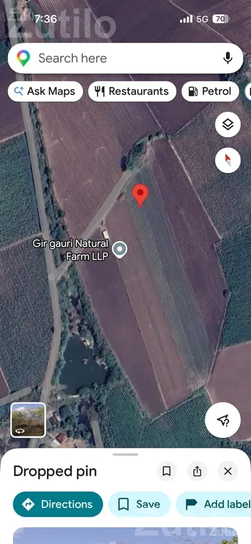 5 Vigha Agricultural Land with Well Share - Land & Plots - Dhoraji - Image 1