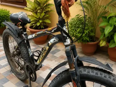 Bicycle Bicycle