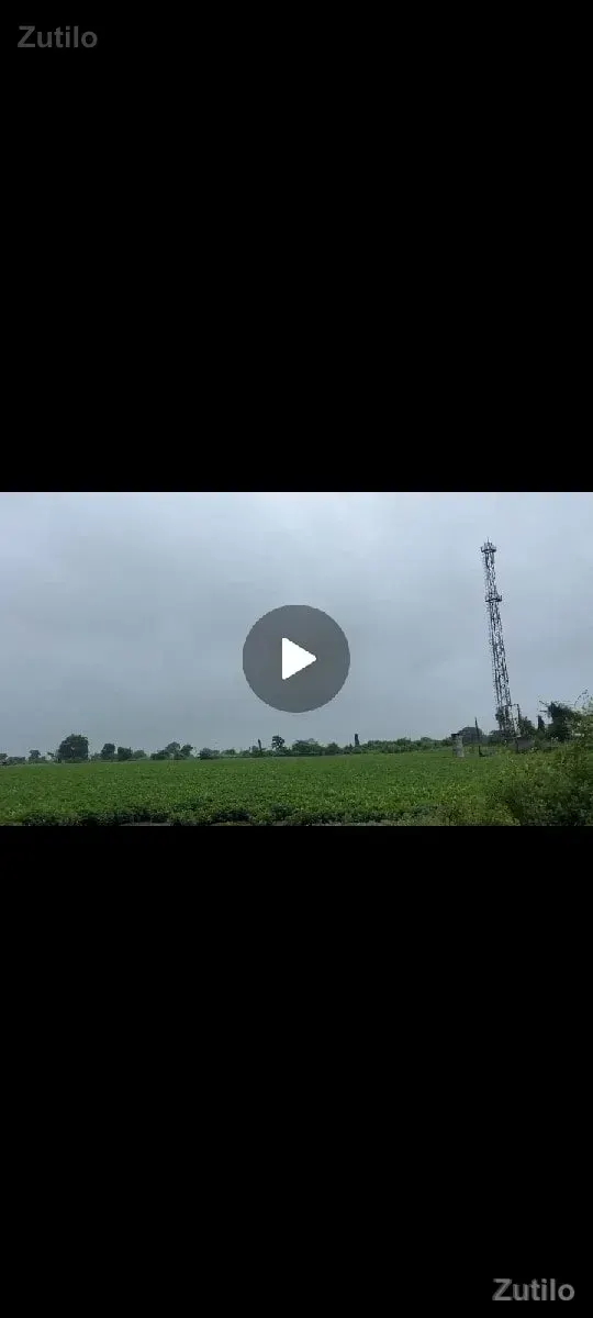 150 વીઘા વેચવાની છે ગામ ટચ - જમીન અને પ્લોટ - બાબરા - Image 2