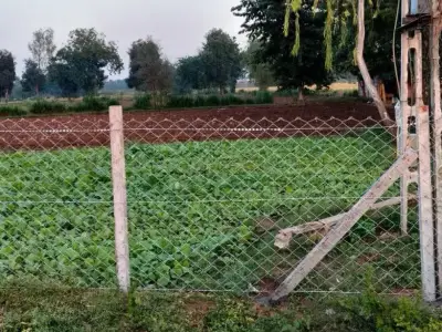Wire Fencing Installation Service for Plots Wire Fencing Installation Service for Plots