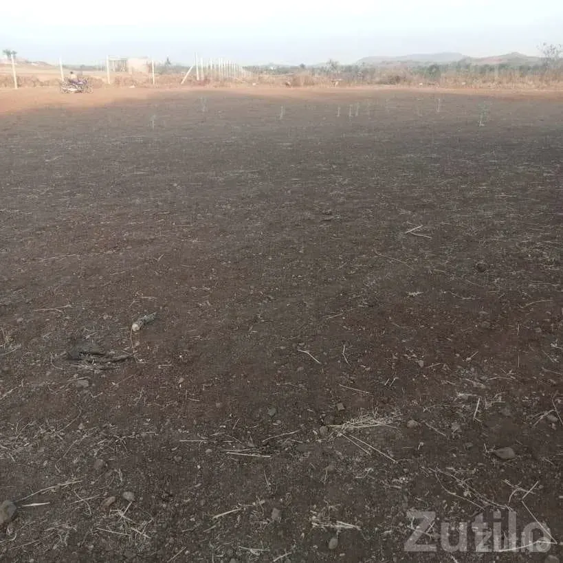 25 Vigha Agricultural Land for Sale - Land & Plots - Dhari - Image 2