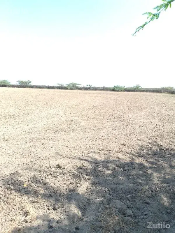 જમીન વેચવાની - Land & Plots - Vadodara City - Image 2