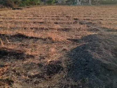 Navada Residential Land Plot Talala Navada Residential Land Plot Talala