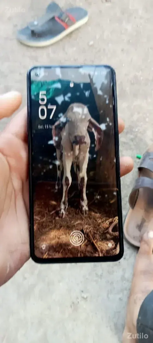 oppo Reno 6 5g - Mobile Phones - Kadi - Image 2
