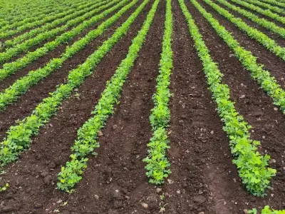 જમીન વેચવાની છે જમીન વેચવાની છે