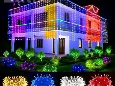 Multicolor Diwali Rice Lights 11 Meter