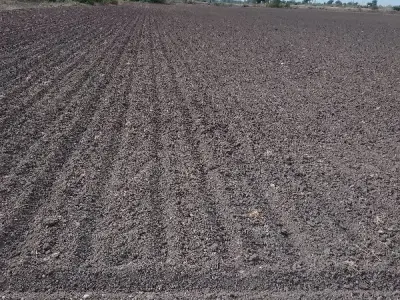 Fertile Agricultural Land Plot for Sale Fertile Agricultural Land Plot for Sale