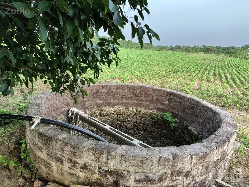 Road Touch Agricultural Plot Kodinar - જમીન અને પ્લોટ - કોડીનાર - Image 2