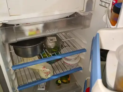 Fridge