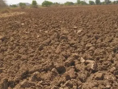 Fertile Agricultural Land for Sale