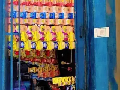 6x6 Heavy Cabin Shop for Sale with Stock 6x6 Heavy Cabin Shop for Sale with Stock