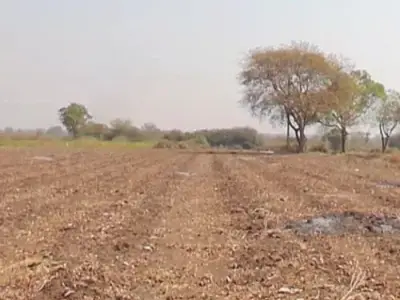 4 Bigha Agricultural Land for Sale 4 Bigha Agricultural Land for Sale