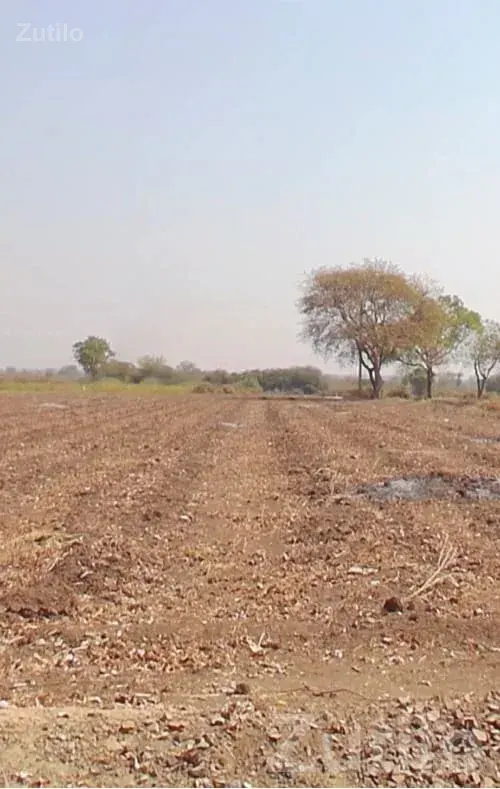 4 Bigha Agricultural Land for Sale - જમીન અને પ્લોટ - જામકંડોરણા - Image 1