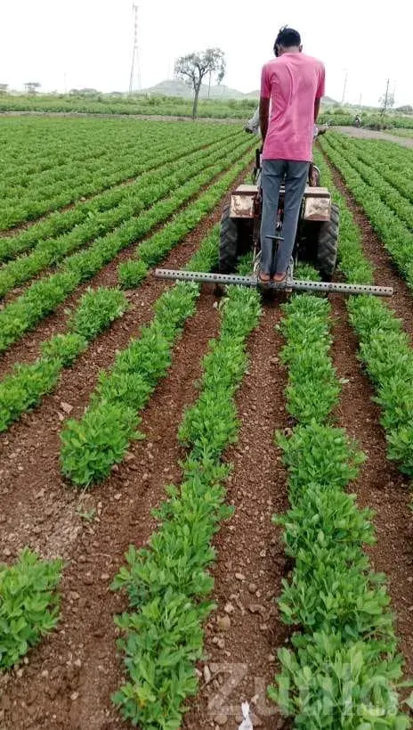 Farm Labour Couple Needed for Permanent Work - Labour / Helper - Jamjodhpur - Image 3