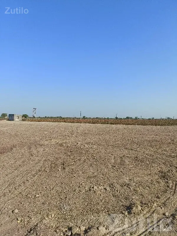 14.5 Vigha Open Agricultural Land Plot - Land & Plots - Manavadar - Image 2