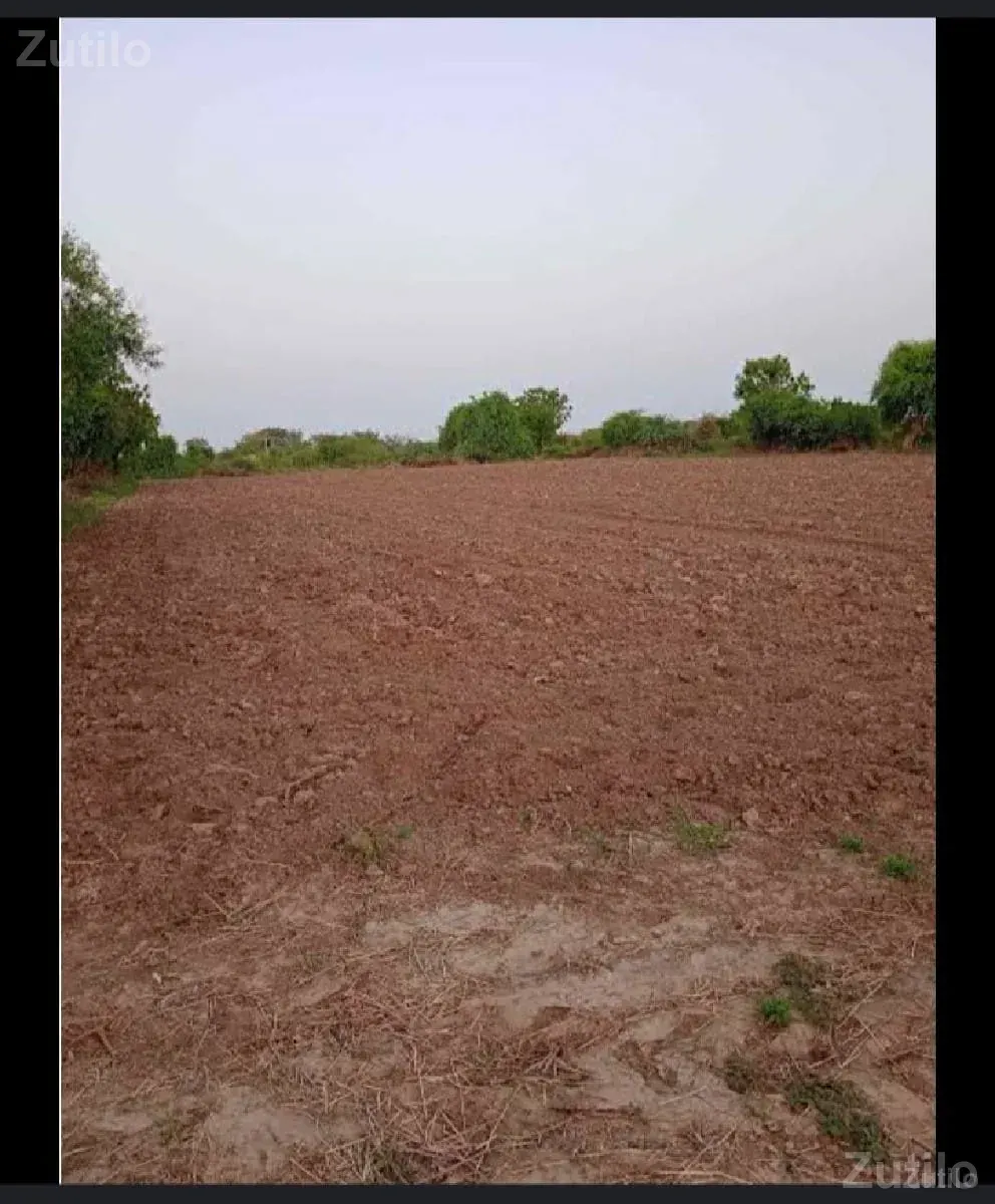 જમીન લે વેચ - જમીન અને પ્લોટ - અમરેલી - Image 2