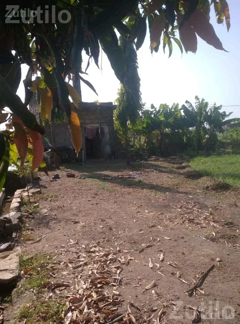 Agricultural Land for Sale with Well and Power - જમીન અને પ્લોટ - સુત્રાપાડા - Image 3