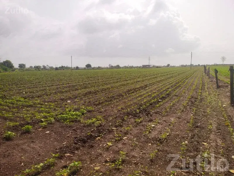 Highway Touch 8 Vigha Farmland Plot - જમીન અને પ્લોટ - વીરપુર - Image 2