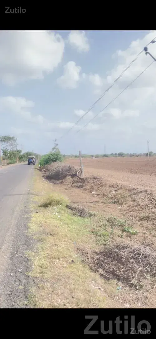 28 Vigha Road Touch Fertile Agriculture Land - Land & Plots - Khambhalia - Image 3