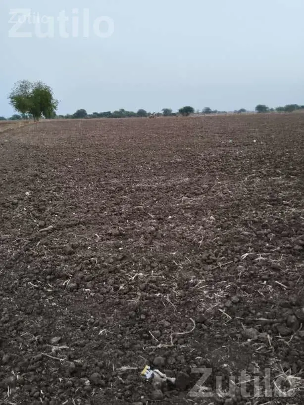 25 Vigha Road Touch Agricultural Land for Sale - Land & Plots - Khambha - Image 3