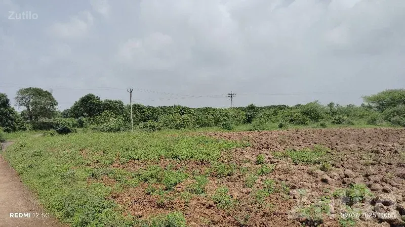 Fertile Agricultural Land in Mendarda - Land & Plots - Mendarda - Image 2
