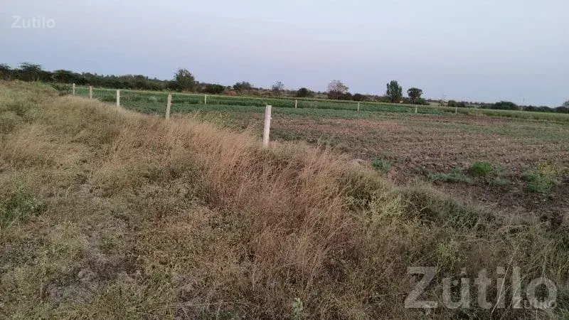 Kalyanpur Agricultural Land for Sale - Land & Plots - Kalyanpur - Image 2